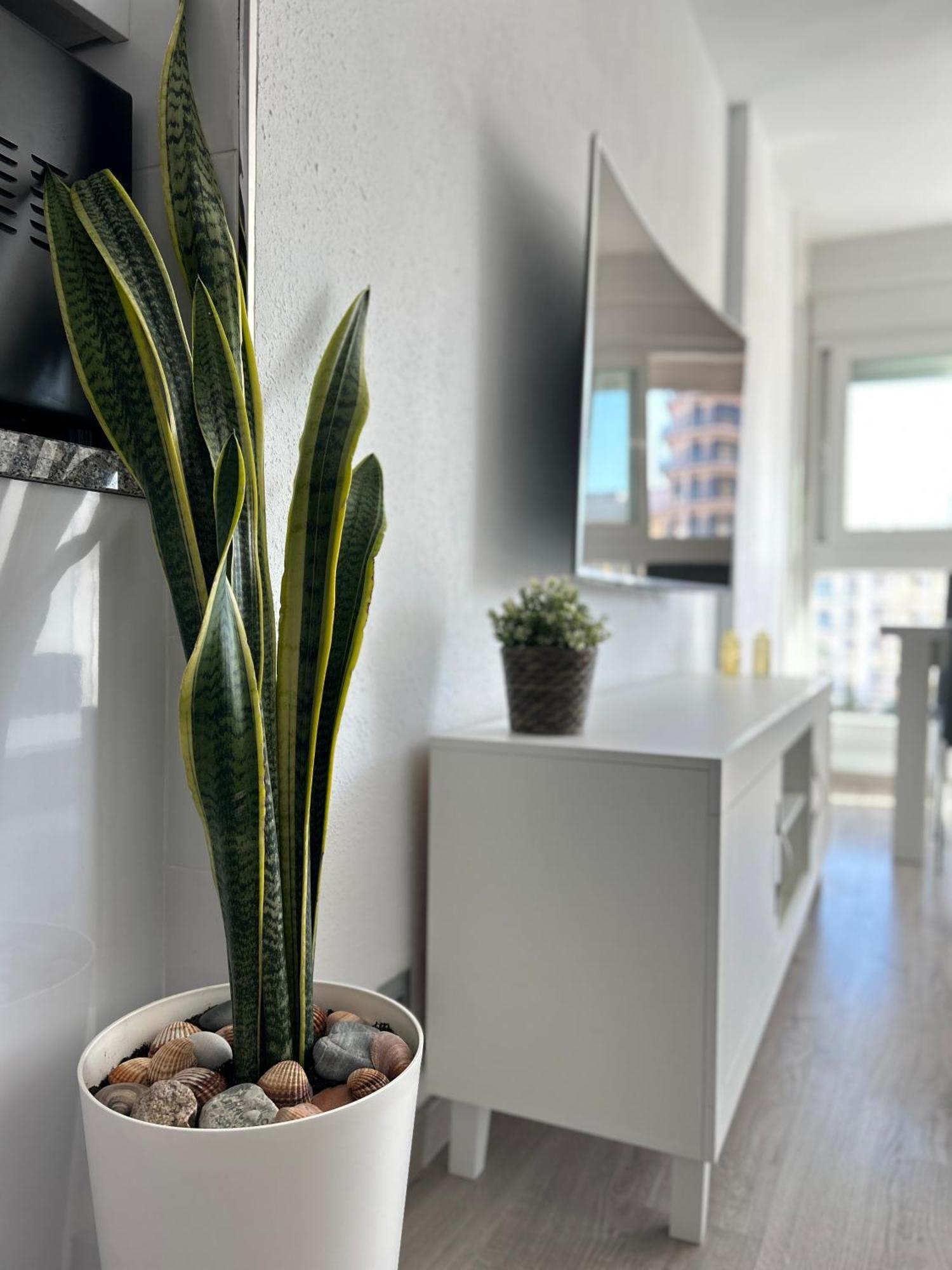 Diana Apartment - Terrace And Pool - 80M From The Beach ベナルマデナ エクステリア 写真